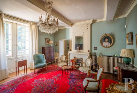 chateaux for sale France poitou charentes   - 9